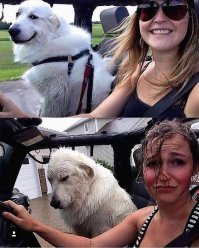 25 фотографий, на которых разыгралась настоящая драма