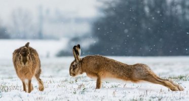 Фотоподборка за 04.09.2018
