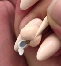 А где же нетленка?