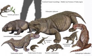 Представители Котельничской фауны позднего Пермского периода (265-254 млн лет назад) в масштабе. Плюс три варианта реконструкции вяткозуха (художники Д.Богданов, Р.Евсеев и А.Атучин)