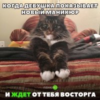 20 фотографий собак, после просмотра которых хочется сказать: «Кажется, ваш пёс сломался, несите нового!»