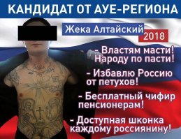 Украл, выпил... в депутаты!  Романтика.