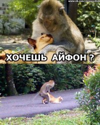 Свежая подборка демотиваторов, которые поднимут вам настроение