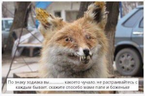 Кажется кто-то упоролся. Шедевры от таксидермистов