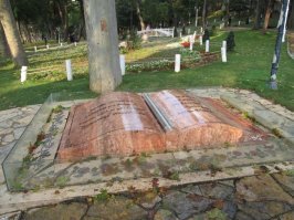 Таки нет... Там книга с текстом )