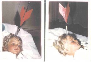 Не Darts, а Jarts. Калибр "чуть-чуть" не тот: