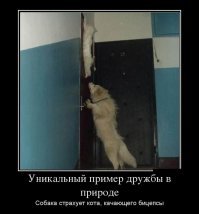 Гифки о дружбе