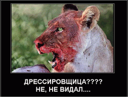 Филя  пока молодой  добрый к еде