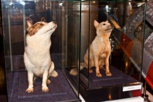 Привет от космонавтов: