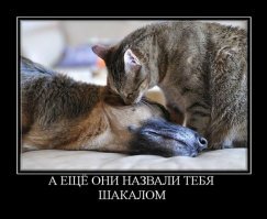 Гифки о дружбе