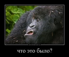 Ученые обнаружили частицу, которая не должна существовать