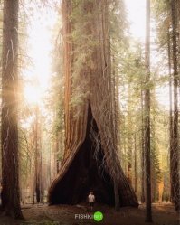 Картинки с надписями для настроения