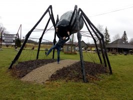 Фотоподборка за 05.09.2018