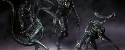 Когда будет основана первая космическая колония?