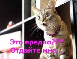 Вредная, но очень вкусная настоящая мужская еда
