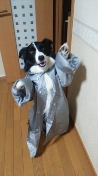 Позитивные фототочки. Часть 2