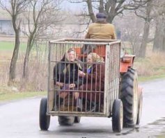 Пенсионерки отбросили в сторону петрушку и устроили поножовщину: видео