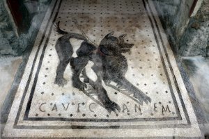 Я бы вот такую мозаику себе сделал. "Cave canem", круто))