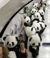 -Стойте - справа, держитесь за сердце - слева!