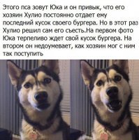 "За жизнь" с юмором