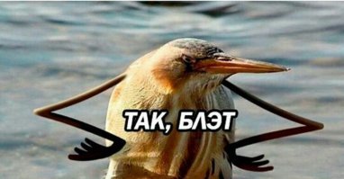 Пользователи представили, как выглядели бы птицы с человеческими руками — и им они чертовски идут!
