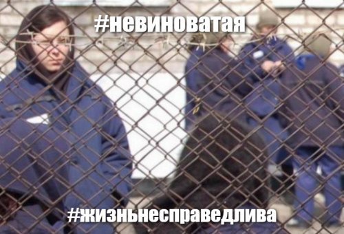 Соблазнительная звезда Инстаграма Кира Майер отправилась в колонию за драку с гаишниками