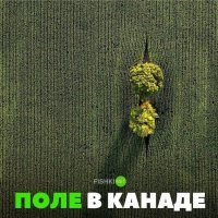 Я должен был увидеть на этой картинке окуратность и перкфекционизм но я извращеннец увидел другое.