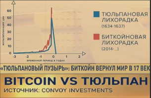 Тюльпаны и биткоин. Экономический пузырь