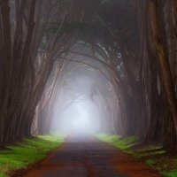 Прямо как тот самый туннель