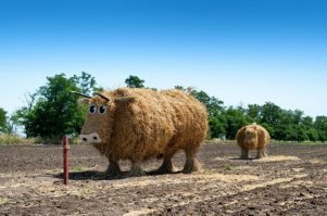 Ставропольский край: