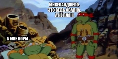 После расчистки пляжа в Мумбаи туда впервые за 20 лет вернулись черепахи