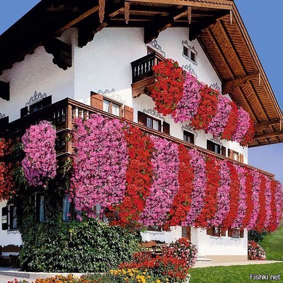 Правда, некоторые создают только в фотошопе. 
Автор вот этого, например.

На самом деле большинство приведенных картинок преобладают растения, которые не так уж и сложно вырастить. Те же петунии, коих здесь множество, очень простые в уходе. 
А вот с плющом другая ситуация. Во-первых, его не везде получится выращивать на улице. Во-вторых, он не очень положительно может влиять на здание, на котором растёт (та же сырость, как пример).
Но у автора не приведено множество других растений, достойных для таких работ: ипомея, клематис, пузыреплодник и т.д.