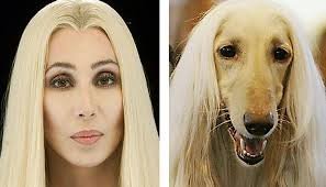 Двойники знаменитостей - похожи, как думаете?