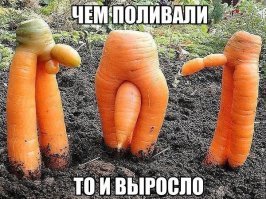 18 случаев, когда природа решила нас немного подколоть