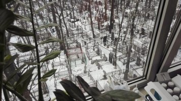 20 снимков о том, как выглядит тишина