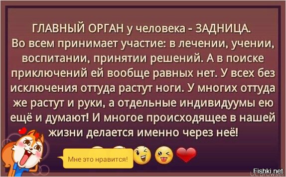 Факты об органах человека