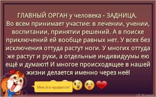 Факты об органах человека