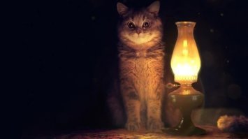 Из королевы в алкоголичку