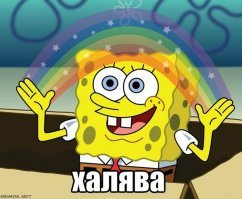 На День города в Томске толпу забросали пирожными "картошка": видео