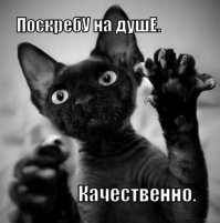 Ты посмотри на свою реплику к моему "собирательному" посту. Что в нем оригинального? Только то, что он вышел из под твоей клавы. Впрочем, не факт - может он резултать процедуры copy-paste.

Пиши сам посты. Покажи плебиям как правильно их писать.
.