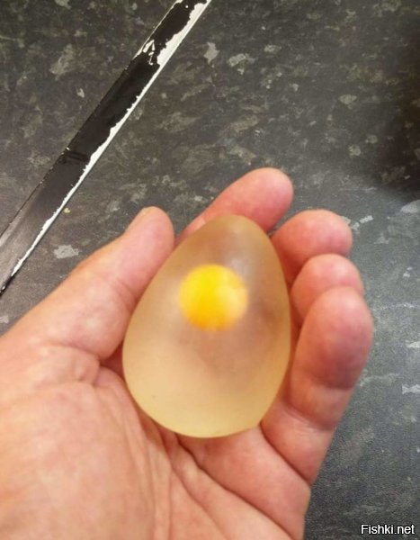 Во-первых, это не черника, а голубика

Во-вторых, (если сделать вид, что мы не заметили, что на этой фотографии силиконовый муляж) яйцо без оболочки не может так выглядеть.

Вот так выглядит яйцо без скорлупы, но с подскорлупной оболочкой

А вот так выглядят яйца без оболочки

* * *
А теперь, друзья, я покажу Вам то, что мало кому удавалось увидеть.
Вот так выглядит ирис "Золотой ключик" без обертки. Вообще. Даже без маленького кусочка.