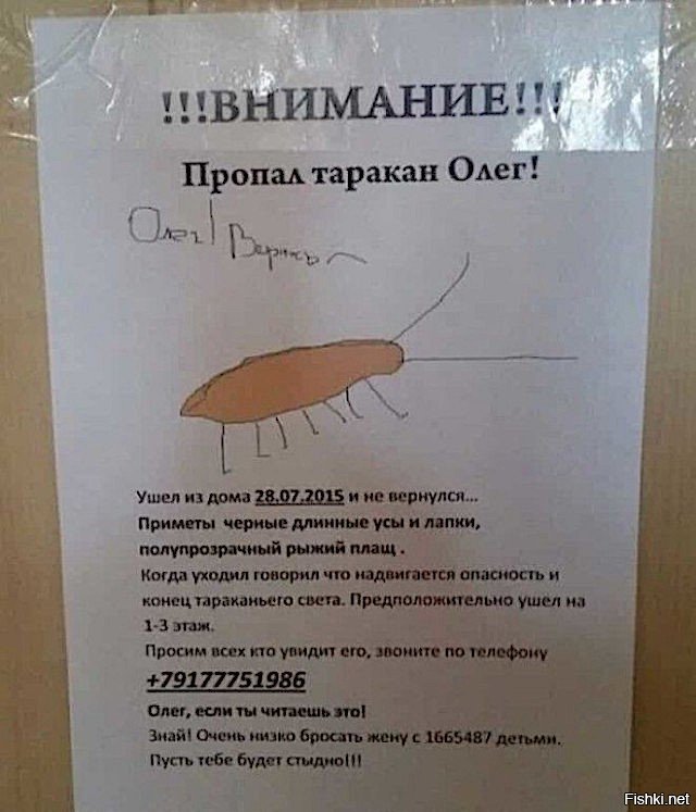 Прикольные картинки