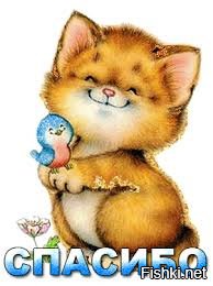 Русское чаепитие: с какими травами опасно пить чай