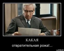 Соблазнительная звезда Инстаграма Кира Майер отправилась в колонию за драку с гаишниками