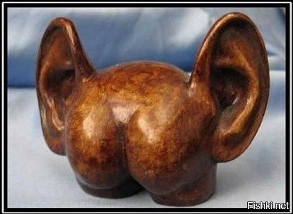 Факты об органах человека