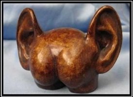 Факты об органах человека