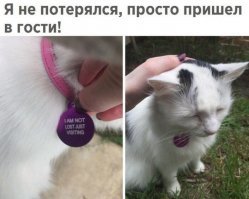 Пропал друг