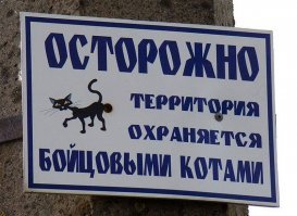 Будет сделано.
.