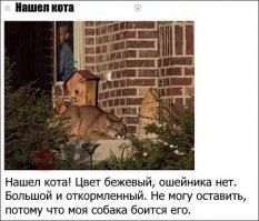 Пропал друг