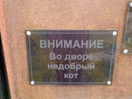Пропал друг